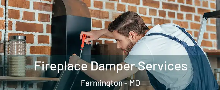  Fireplace Damper Services Farmington - MO
