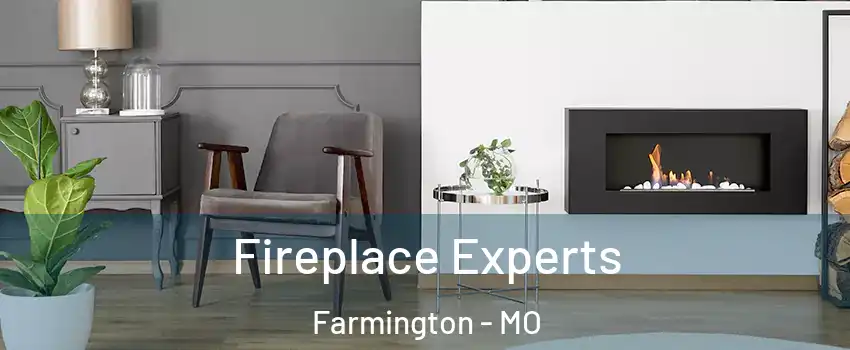  Fireplace Experts Farmington - MO