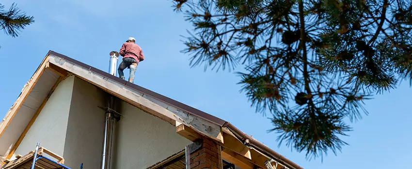 Birds Removal Contractors from Chimney in Farmington, MO