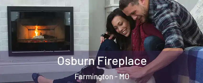  Osburn Fireplace Farmington - MO
